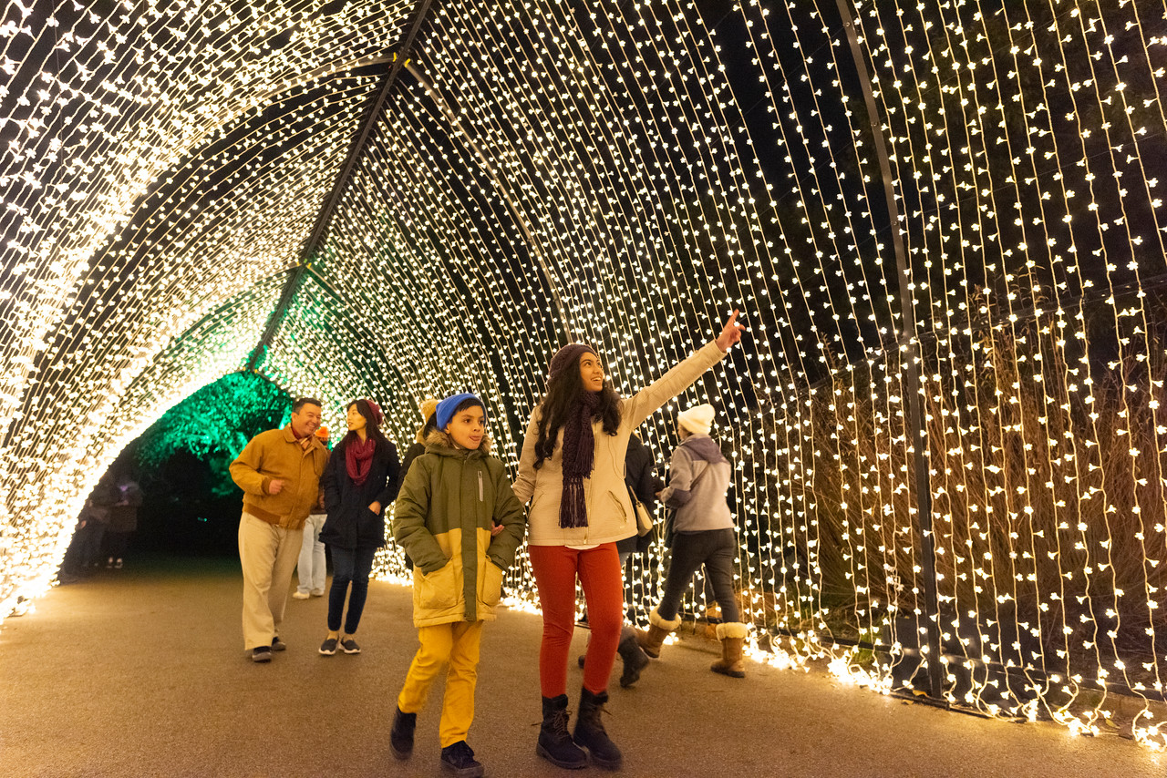 Two young children adore the lights at Lightscape at Chicago Botanic.